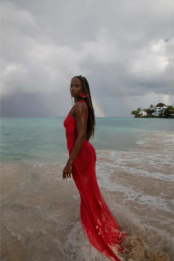 Renee Rouge Dress - Image 3