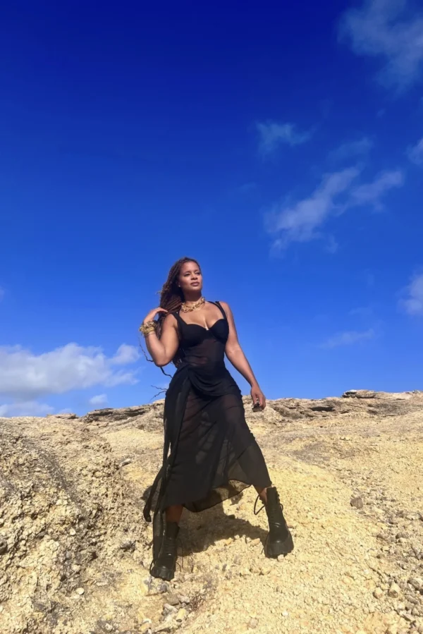 Renee Black Dress - Image 2