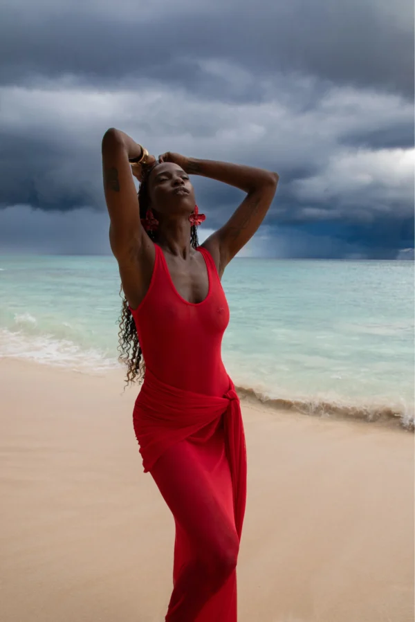 Renee Rouge Dress